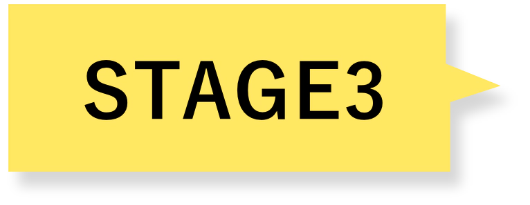 stage3